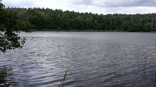 Schäfersee